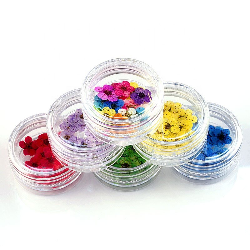 20 pcs Little Box Packs Pressed and Dried Little Plum Flowers for Nail Resin Crafts Decorated