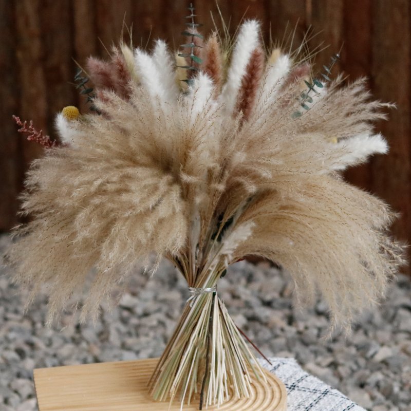 CH-055 Wholesale Nature Real Flower Reed Pampas Grass Rabbit Tail Wheat Mixed Dried flower Bouquet Mini For Wedding Home Decor
