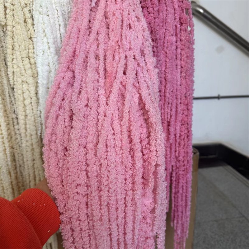 Wedding Party Decor Arrangement DIY Bleached Amaranthus Hanging Preserved Flowers Natural Artificial Preserved Amaranthus Flower