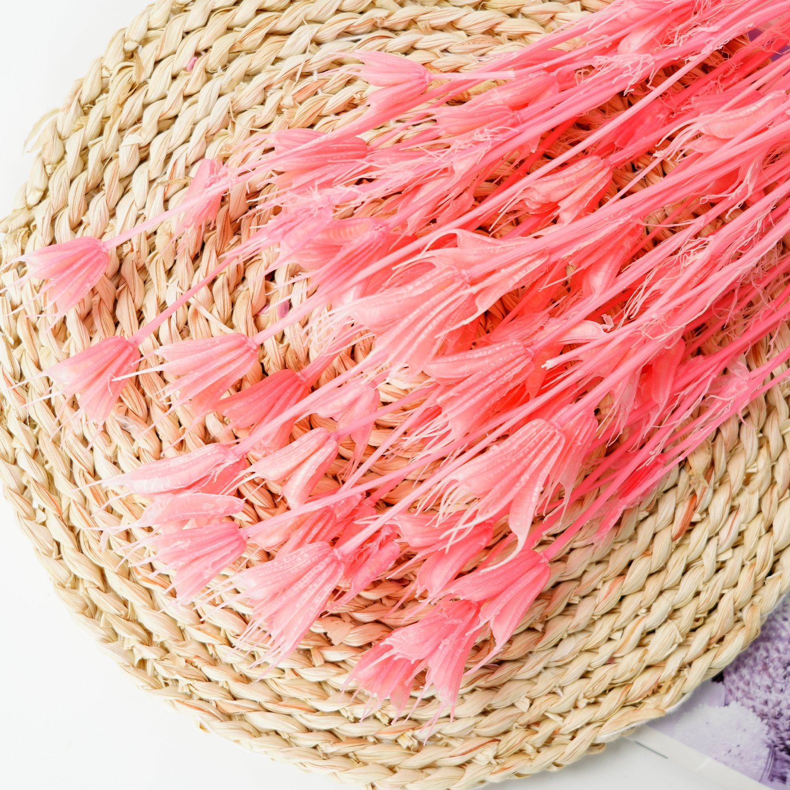 Natural Decorative Flower Dried Octagon Flower Everlasting Star Anise Flower for Home Decorflower Arrangements