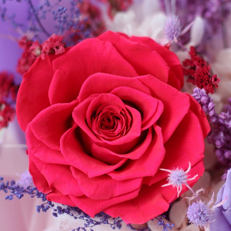 Lovebay Best Selling Preserved Real Flower Purple Roses for Women Gift Eternal Floral Bouquet Forever Preserved Flowers Bouquet