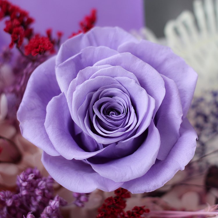 Lovebay Best Selling Preserved Real Flower Purple Roses for Women Gift Eternal Floral Bouquet Forever Preserved Flowers Bouquet