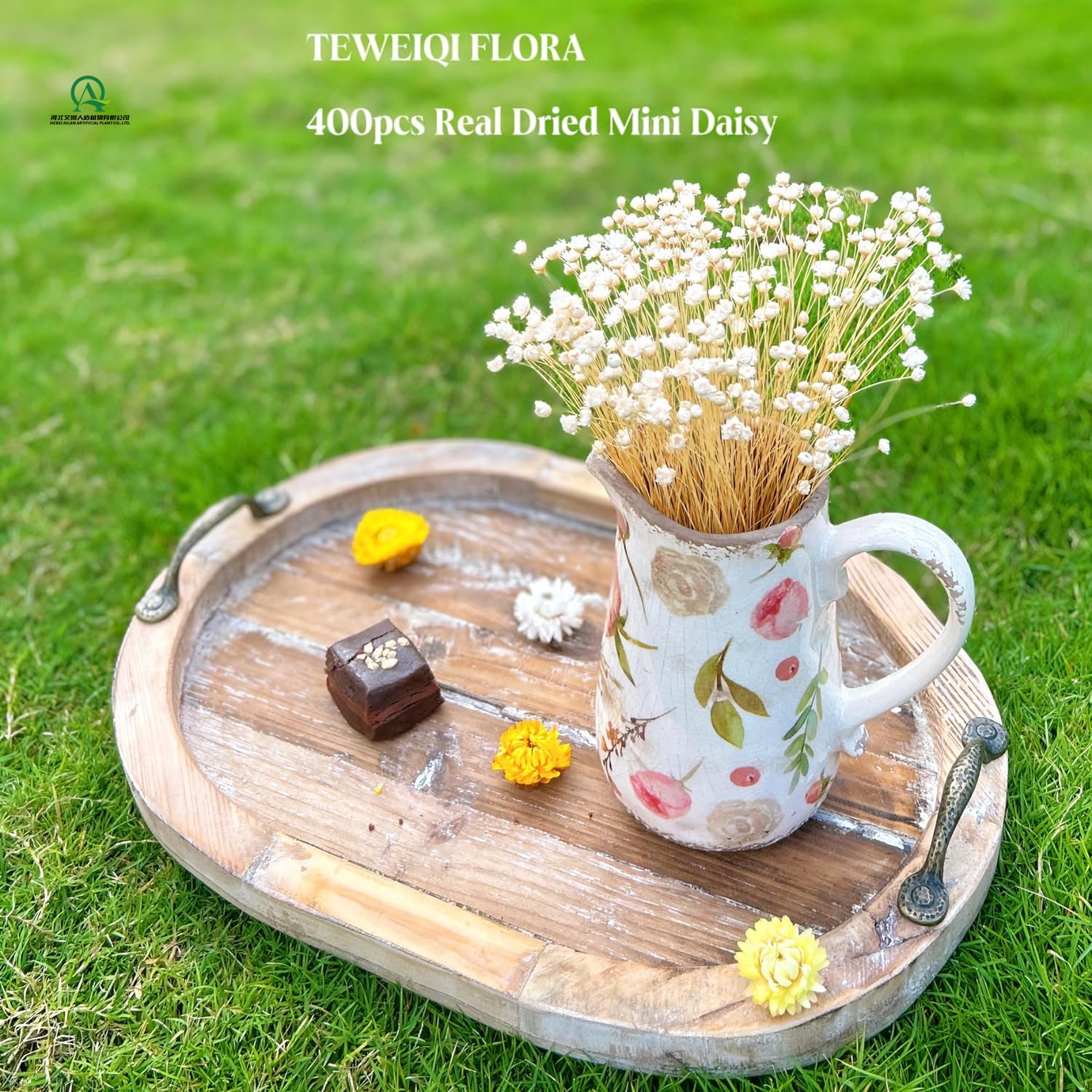50pcs Natural Dried beige Flowers Brazilian Small Star Daisy Dried Decorative Mini Chamomile Bouquet for Wedding Floral Decor