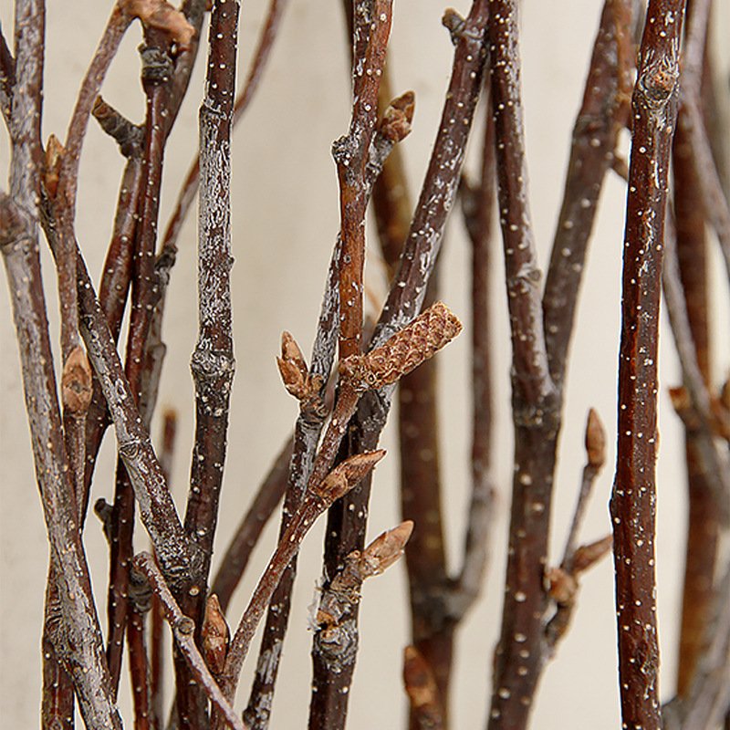Cheap natural tree branches white birch branches dried flower for home tabletop vase decoration
