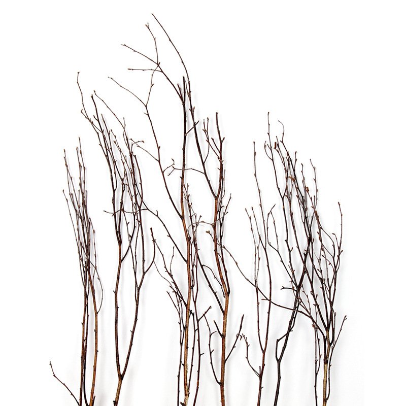 Cheap natural tree branches white birch branches dried flower for home tabletop vase decoration