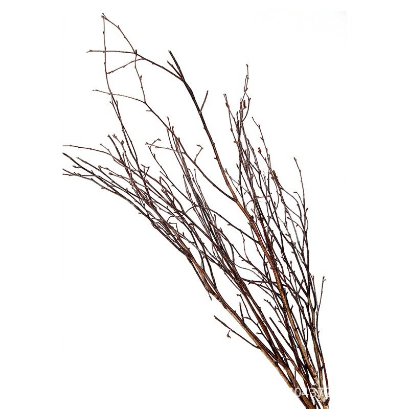 Cheap natural tree branches white birch branches dried flower for home tabletop vase decoration