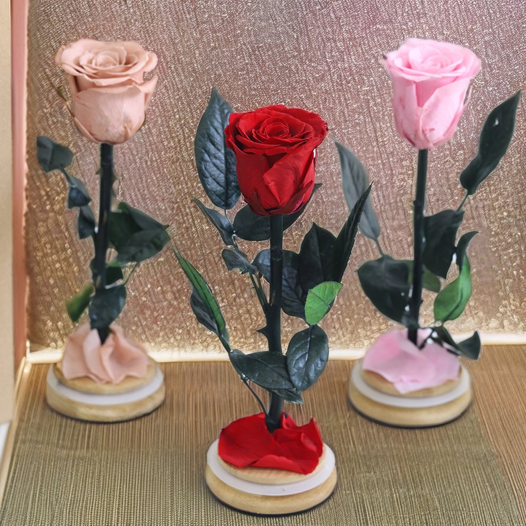Forever single Lasting Preserved Rose in Glass for Decorative New Year Mother's Day Chinese New Year Valentine's Day Gift
