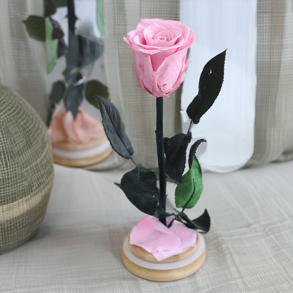 Forever single Lasting Preserved Rose in Glass for Decorative New Year Mother's Day Chinese New Year Valentine's Day Gift