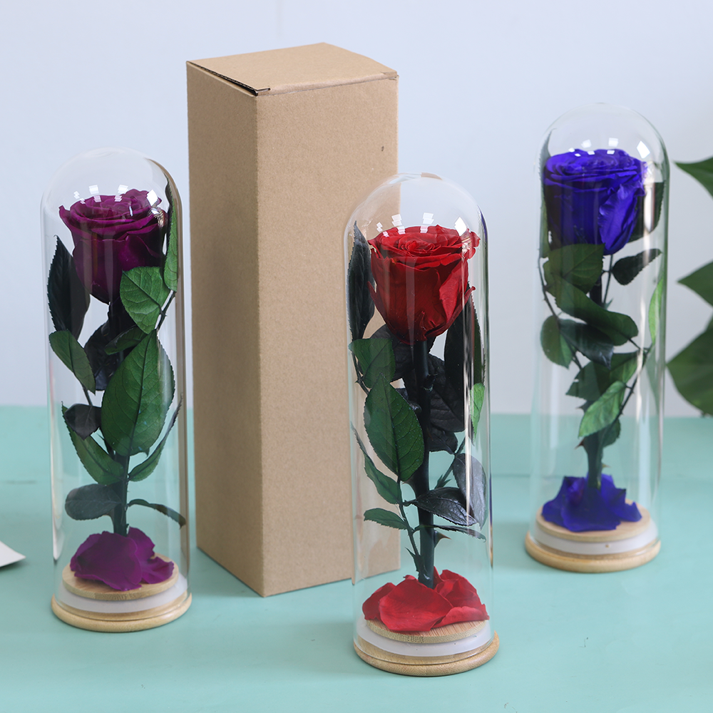 Forever single Lasting Preserved Rose in Glass for Decorative New Year Mother's Day Chinese New Year Valentine's Day Gift