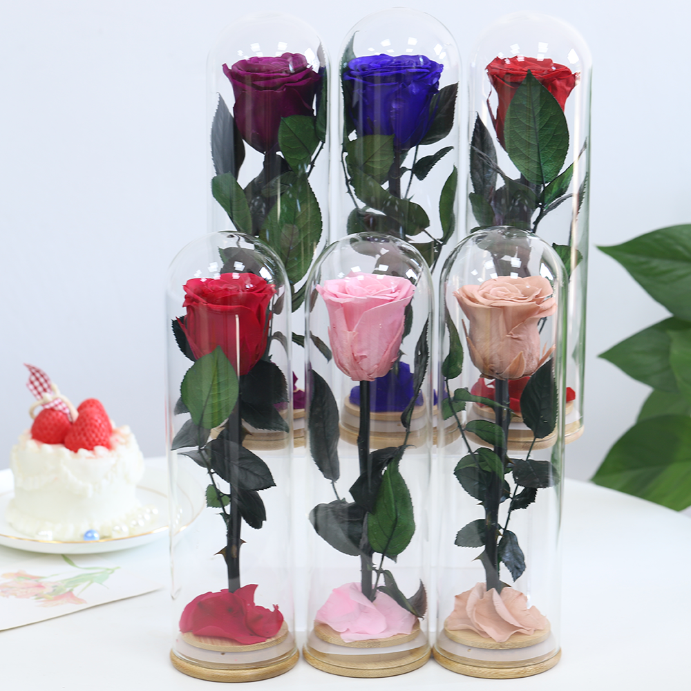 Forever single Lasting Preserved Rose in Glass for Decorative New Year Mother's Day Chinese New Year Valentine's Day Gift