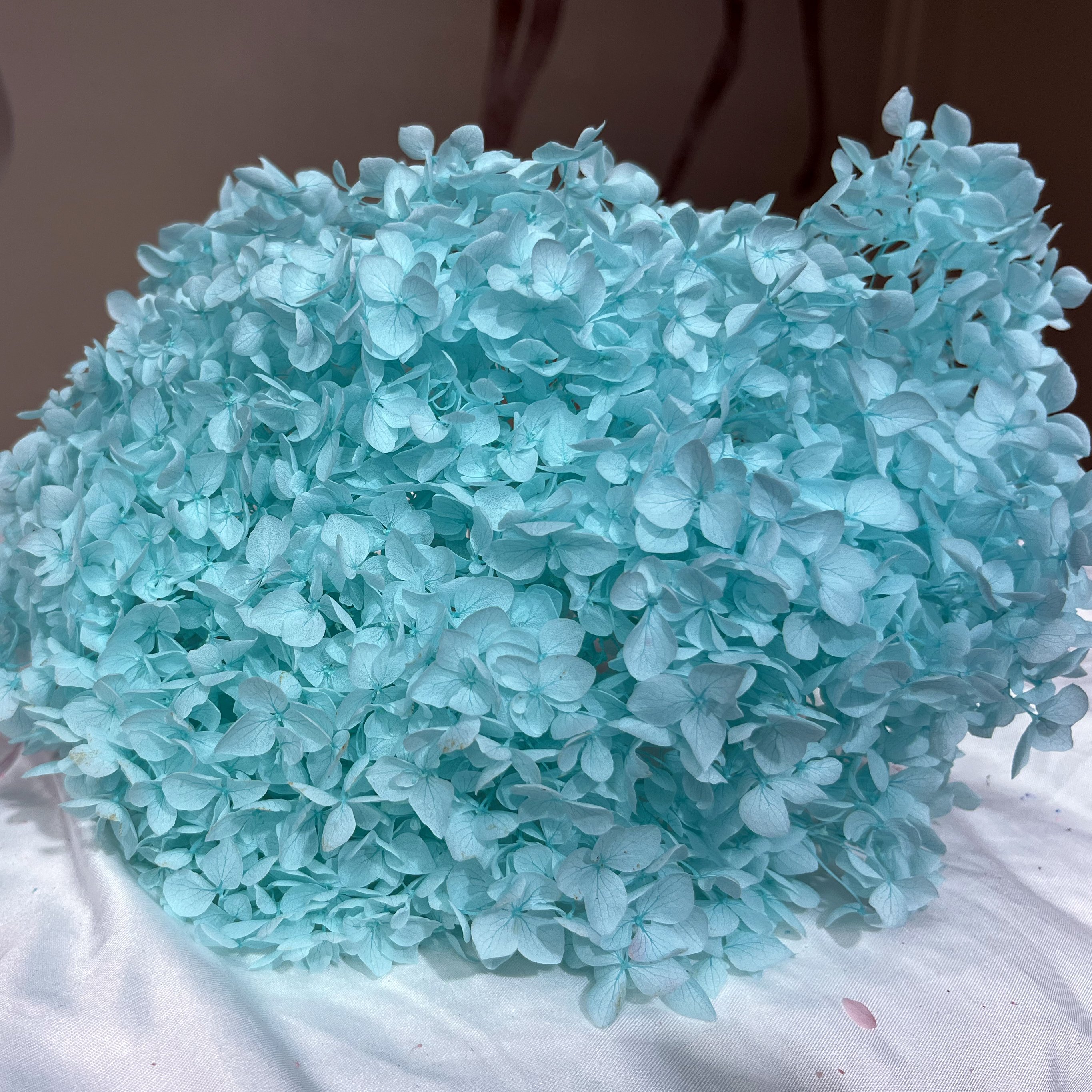Wholesale Natural Preserved Flower Dried Dlowers Hydrangea Real Rouch Hydrangea For Home Party Wedding Decoration
