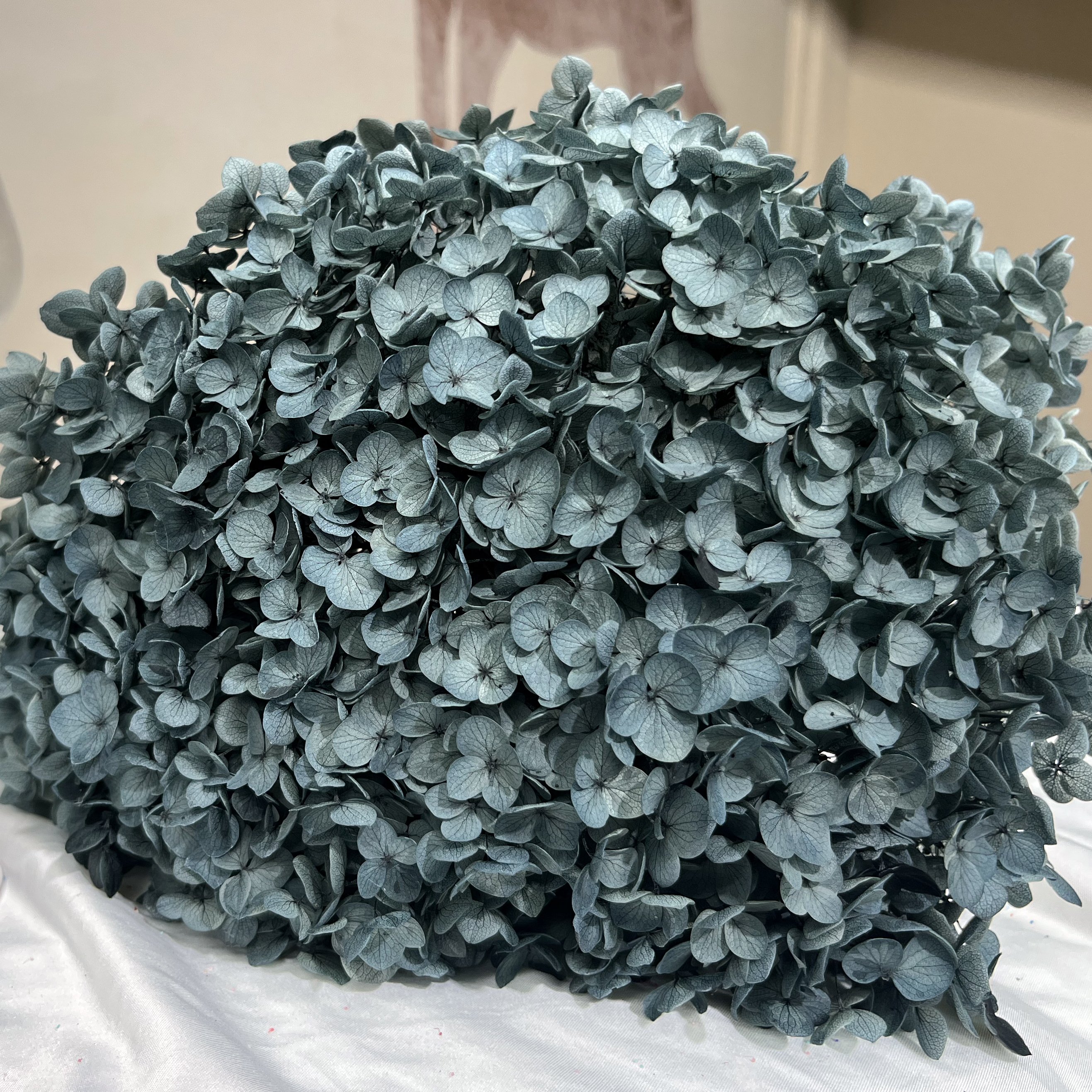 Wholesale Natural Preserved Flower Dried Dlowers Hydrangea Real Rouch Hydrangea For Home Party Wedding Decoration