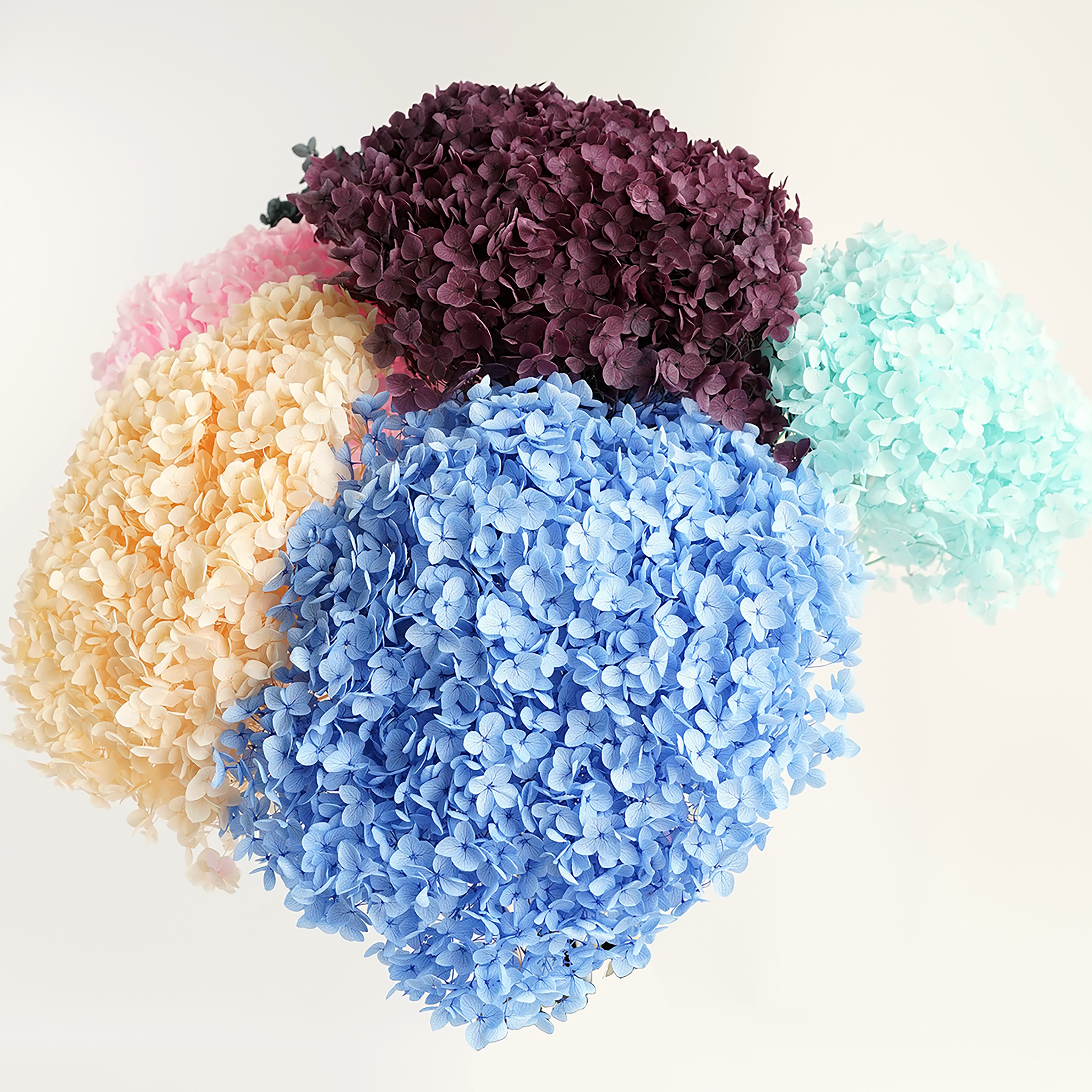 Wholesale Natural Preserved Flower Dried Dlowers Hydrangea Real Rouch Hydrangea For Home Party Wedding Decoration