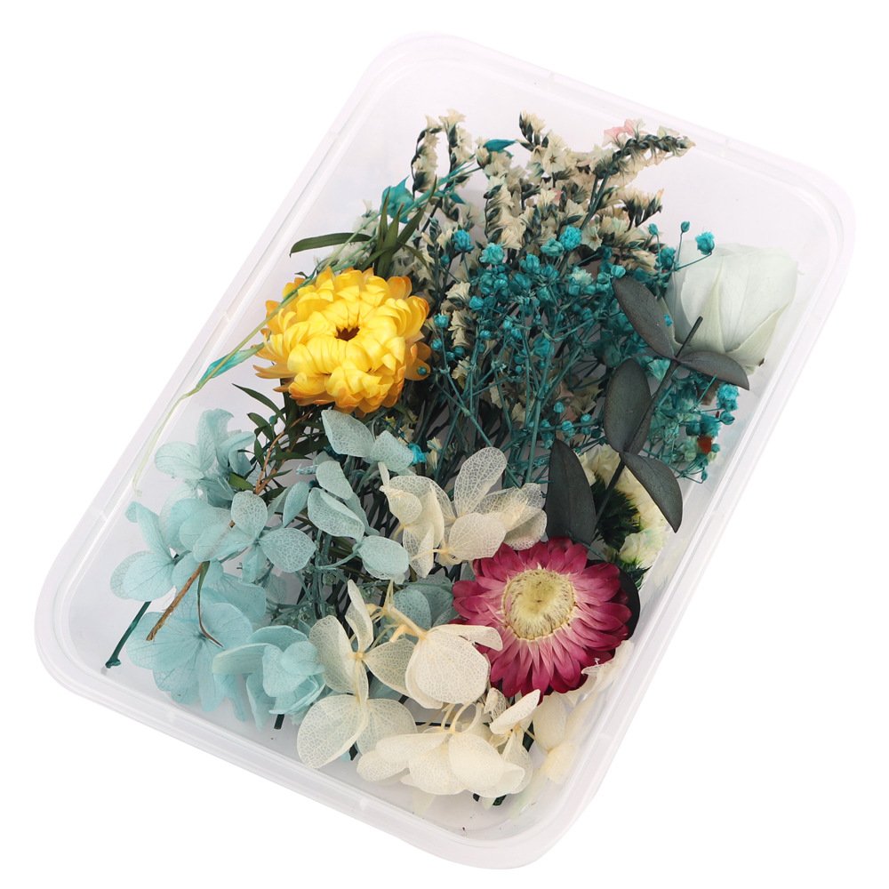 BX-14 wholesale dried flowers material package handmade DIY candles soap resin mixed nail art decorative flowers Embossing decor