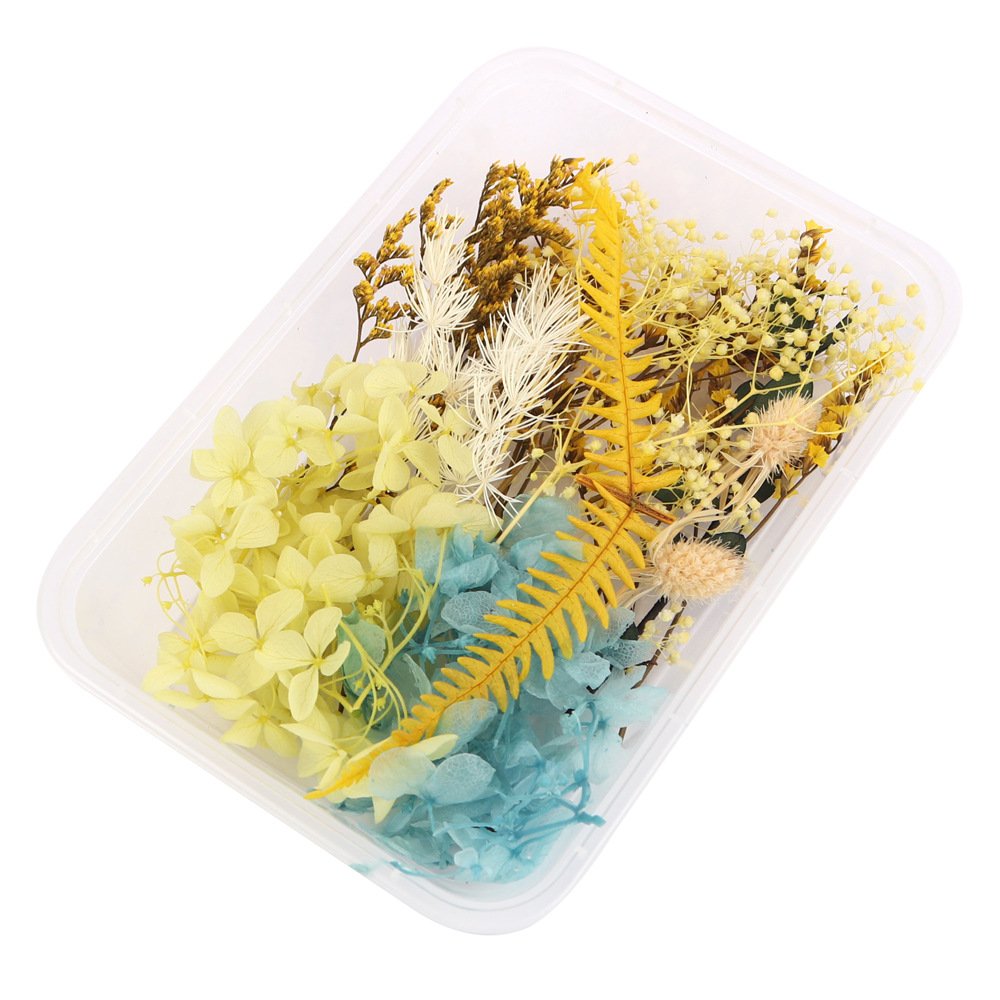 BX-14 wholesale dried flowers material package handmade DIY candles soap resin mixed nail art decorative flowers Embossing decor