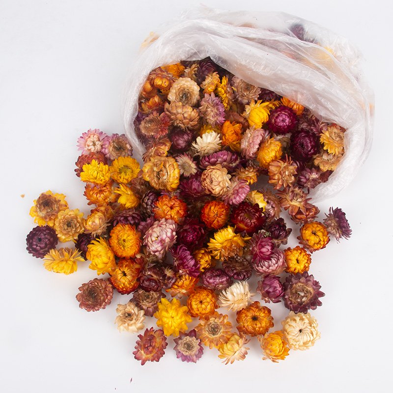 Tiny flowers Dried pink Gomphrena Strawflowers Dried hydrangea Dried rose buds Tiny red flowers Smallest flowers