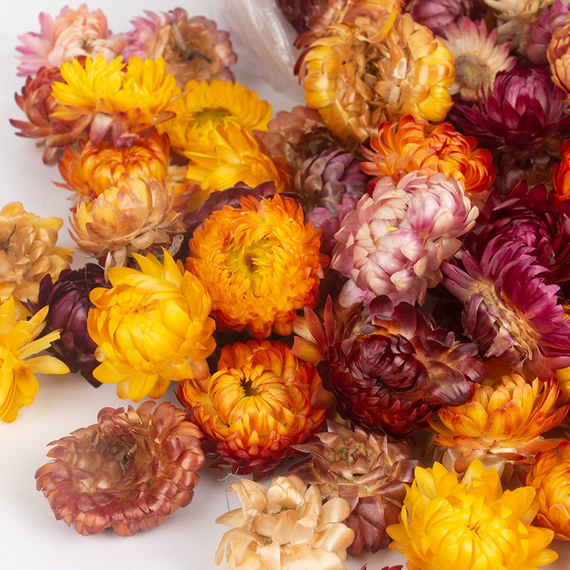Tiny flowers Dried pink Gomphrena Strawflowers Dried hydrangea Dried rose buds Tiny red flowers Smallest flowers