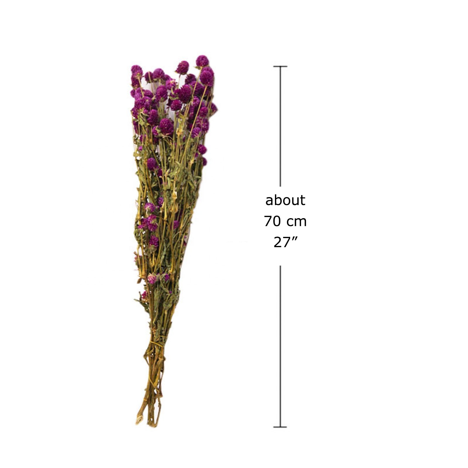 UKIQUEEN Wholesale Dry Flower Dried Flowers Globe Amaranth Gomphrena Globosa Dried Gomphrena