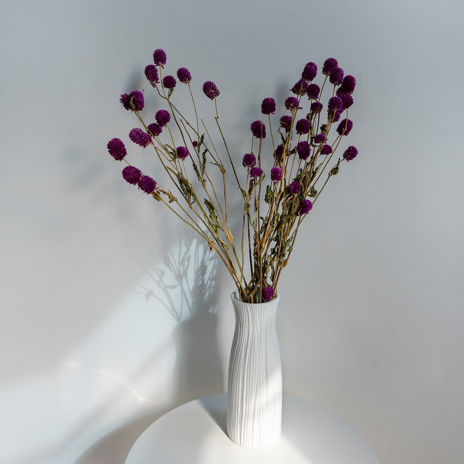 UKIQUEEN Wholesale Dry Flower Dried Flowers Globe Amaranth Gomphrena Globosa Dried Gomphrena