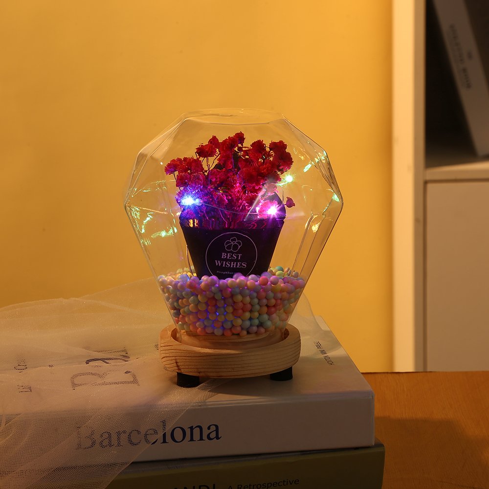Valentine's Day Gift Led Lights Decorative Ornaments Gypsophila Preserved Dried Flower Glass Dome with Wood Base