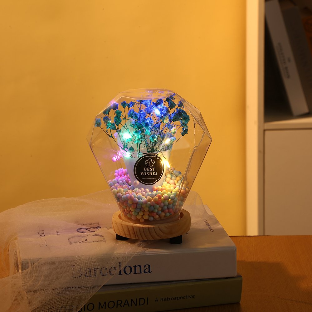 Valentine's Day Gift Led Lights Decorative Ornaments Gypsophila Preserved Dried Flower Glass Dome with Wood Base