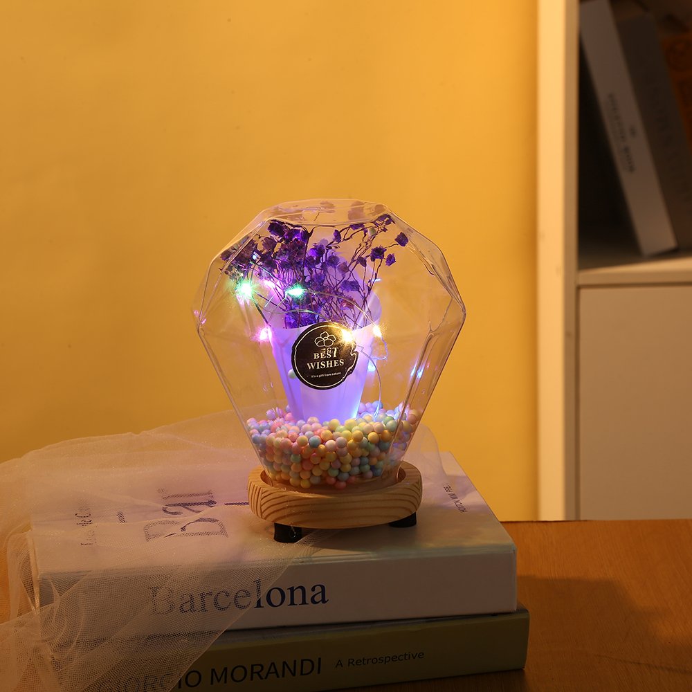 Valentine's Day Gift Led Lights Decorative Ornaments Gypsophila Preserved Dried Flower Glass Dome with Wood Base