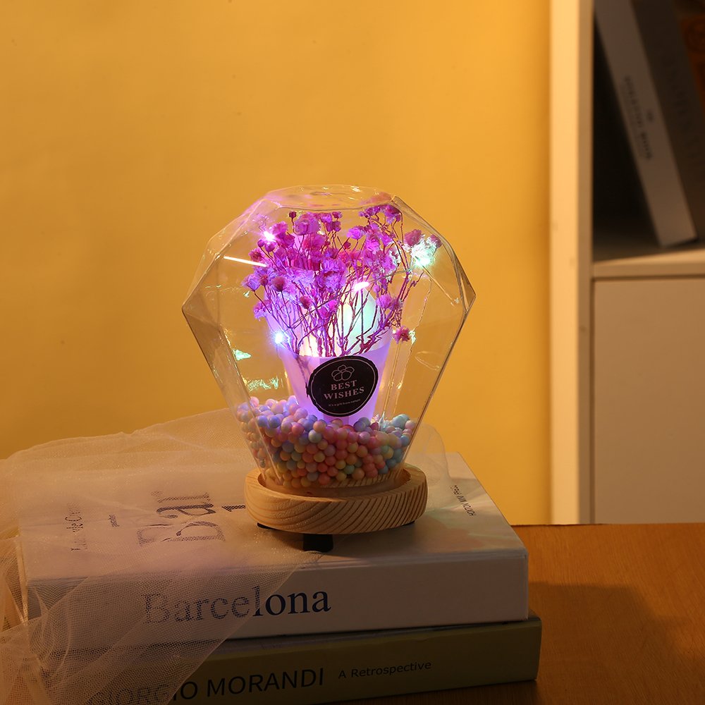 Valentine's Day Gift Led Lights Decorative Ornaments Gypsophila Preserved Dried Flower Glass Dome with Wood Base