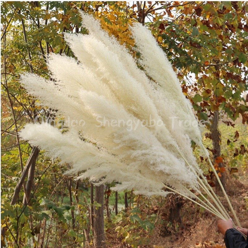 Factory Direct Artificial Flowers Fluffy Natural Dried Pampas Grass For Wedding Decoration
