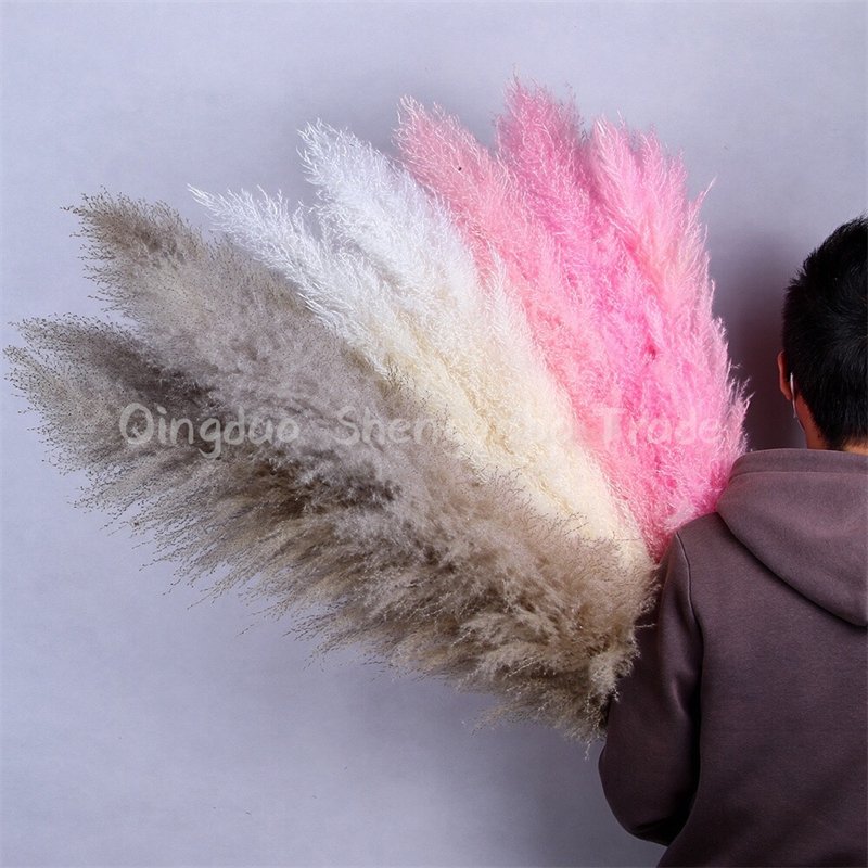 Factory Direct Artificial Flowers Fluffy Natural Dried Pampas Grass For Wedding Decoration