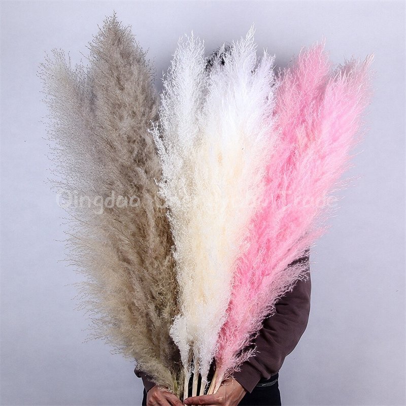 Factory Direct Artificial Flowers Fluffy Natural Dried Pampas Grass For Wedding Decoration