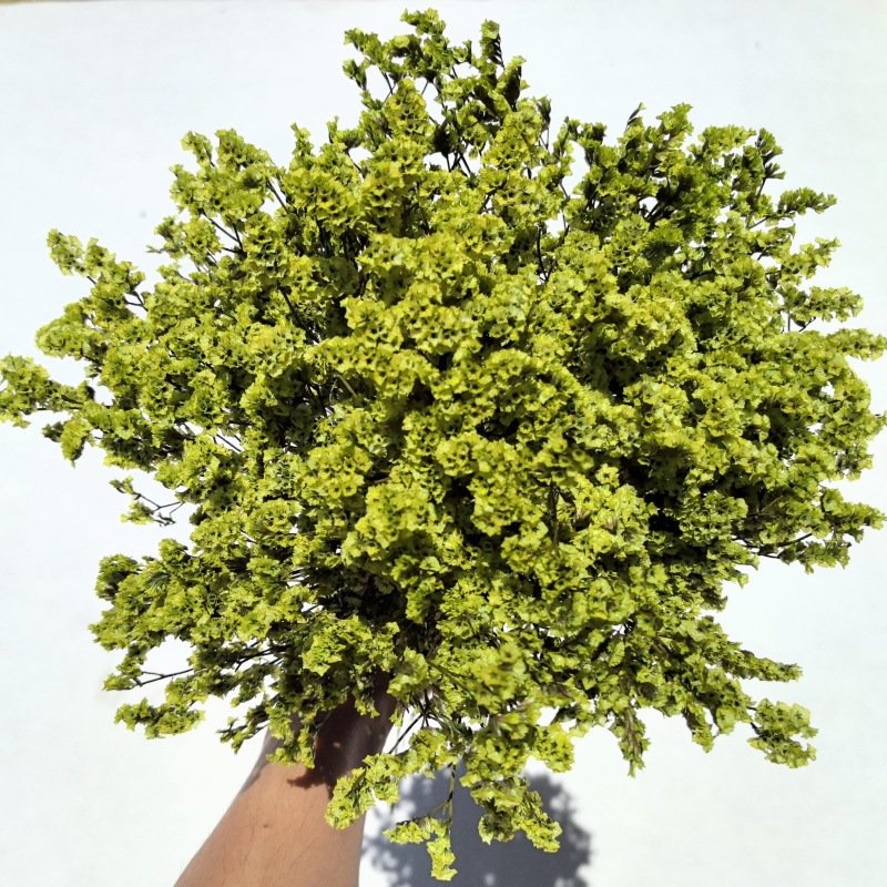 Eternal Flower Valentine's Day Mother's Day Gift Eternal Flower Full Of Stars Wedding Home Decoration Dried Flowers