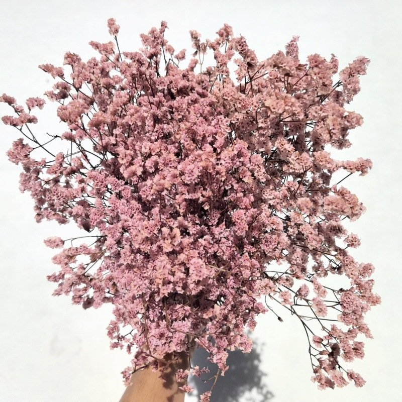 Eternal Flower Valentine's Day Mother's Day Gift Eternal Flower Full Of Stars Wedding Home Decoration Dried Flowers