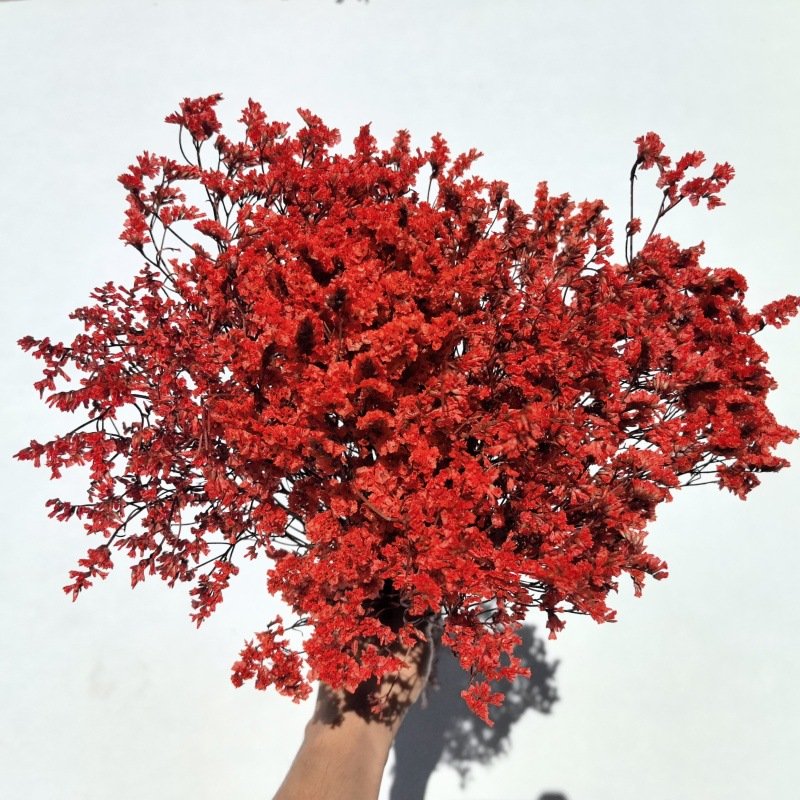 Eternal Flower Valentine's Day Mother's Day Gift Eternal Flower Full Of Stars Wedding Home Decoration Dried Flowers