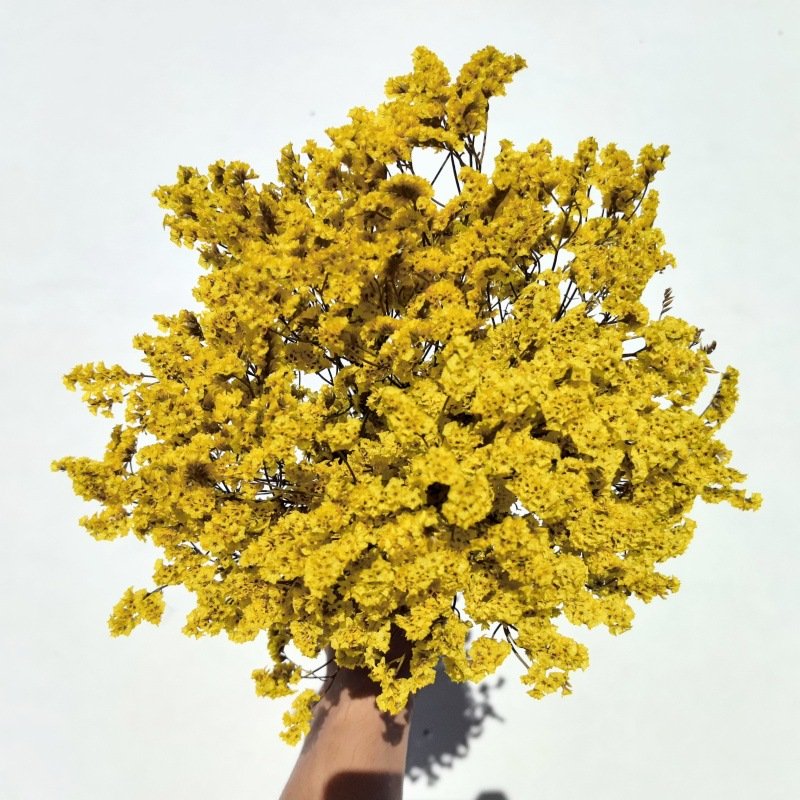 Eternal Flower Valentine's Day Mother's Day Gift Eternal Flower Full Of Stars Wedding Home Decoration Dried Flowers