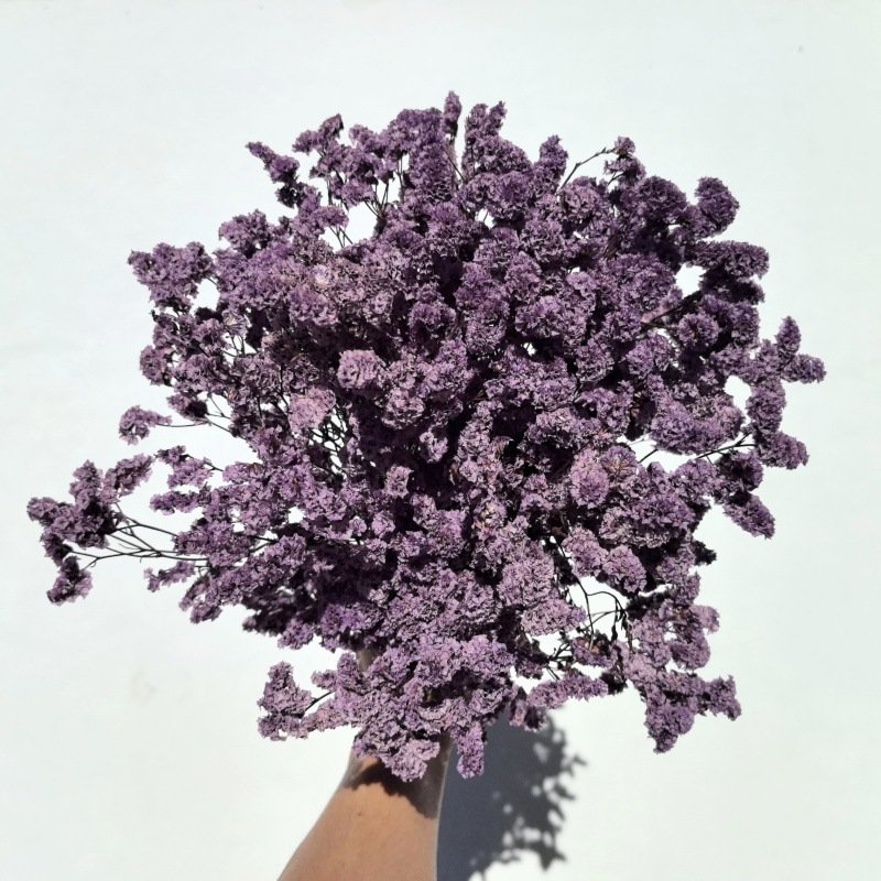 Eternal Flower Valentine's Day Mother's Day Gift Eternal Flower Full Of Stars Wedding Home Decoration Dried Flowers