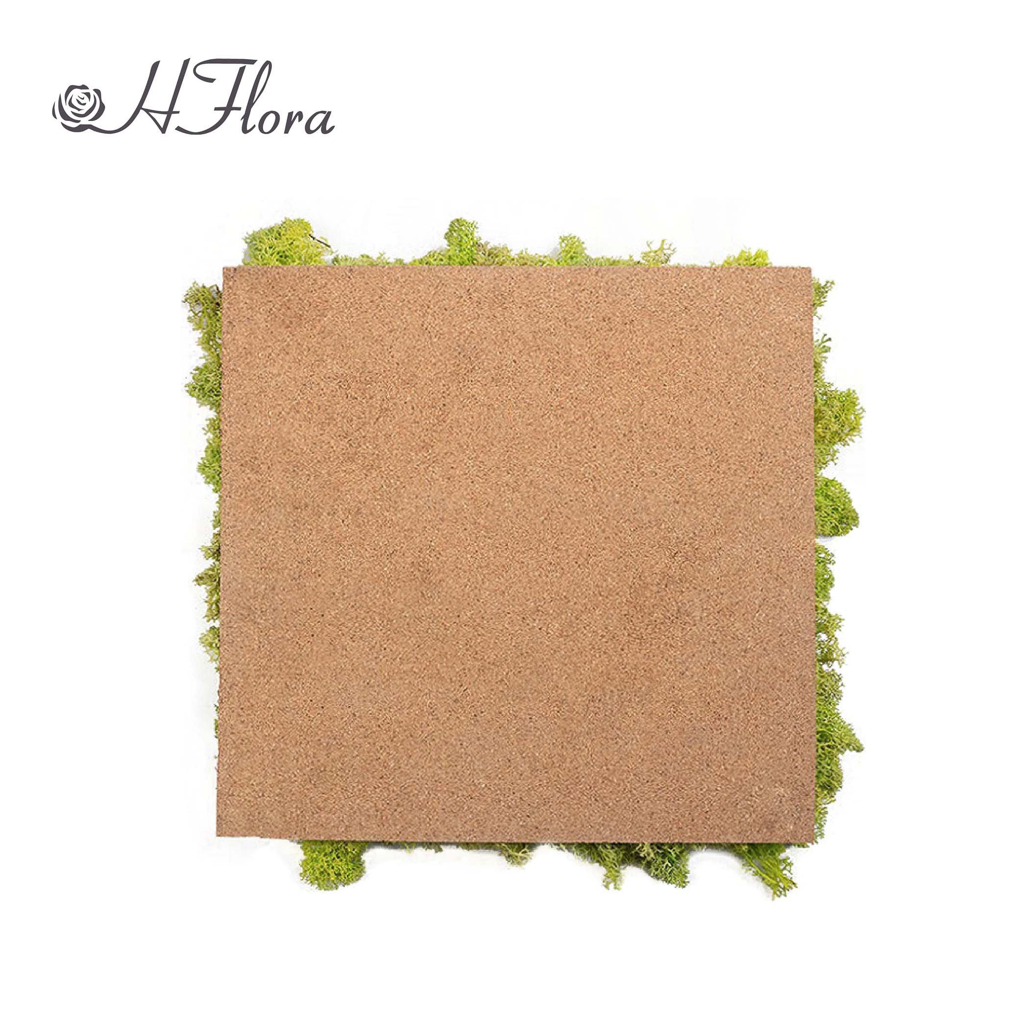 HFlora Wholesale 30*30 cm Decorative natural Preserved Moss Panel 10+ colors for Indoor Wedding Party Company wall decoration