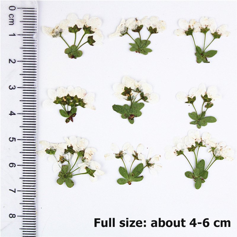 Factory Wholesale Snowspray Snowdrop SprayDried Flowers for Diy Handmade Snowspray with Stem Flower Materials DIY Silk Flower
