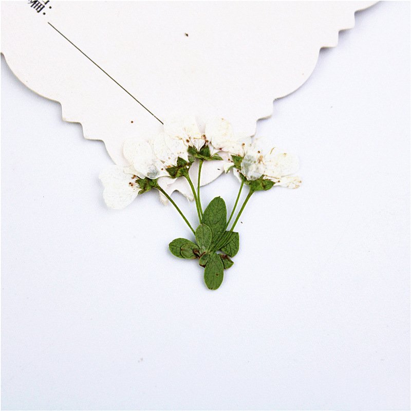 Factory Wholesale Snowspray Snowdrop SprayDried Flowers for Diy Handmade Snowspray with Stem Flower Materials DIY Silk Flower