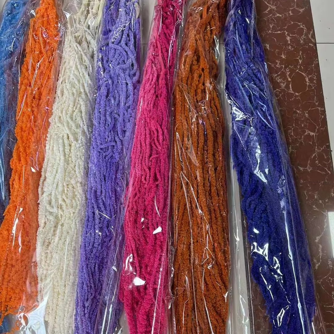 Factory Natural Amaranthus Dried Flower Preserved Flowers & Plants Hanging Amaranth for Wedding Decoration