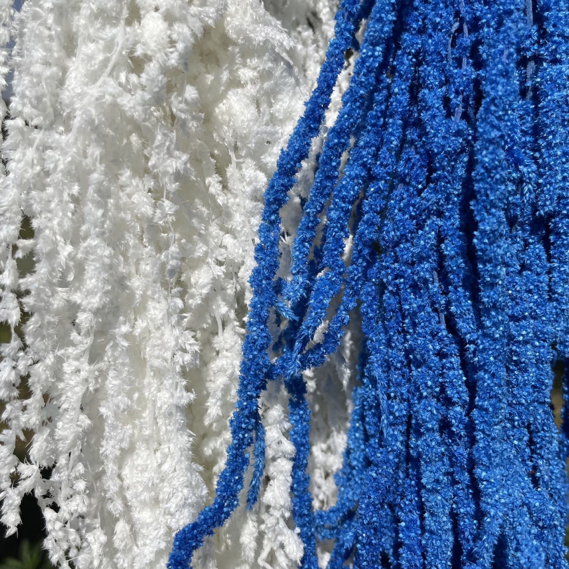 Natural Preserved Foliages Amaranth Dried Flower Hanging Amaranthus for Home & Wedding Decoration