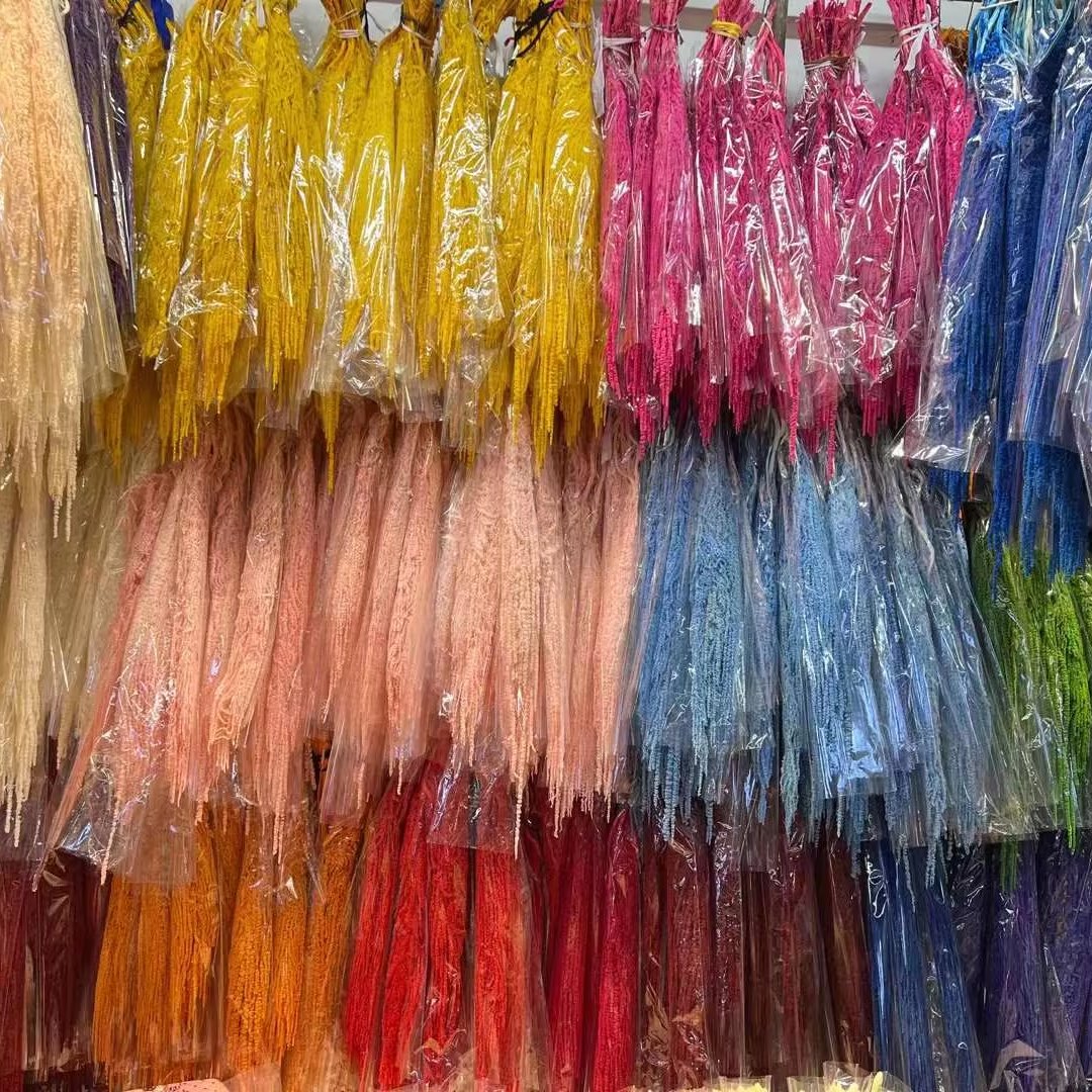 Natural Preserved Foliages Amaranth Dried Flower Hanging Amaranthus for Home & Wedding Decoration