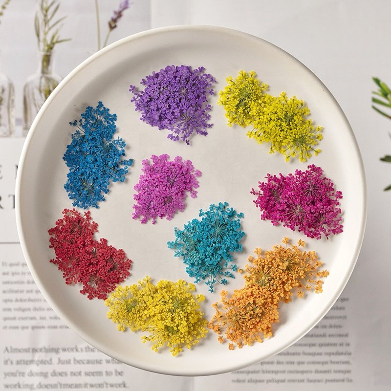 MNR1963 Nail Art Pressed Dry Flower 3D Nature Dried Flowers for Nails Decorations