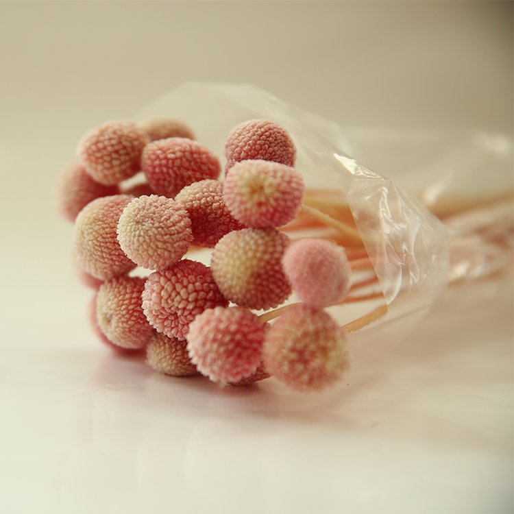 20 Pcs Natural Dried Flowers Dried golden ball for Home Kitchen Bedroom Table Desk Flower Arrangements Decorations