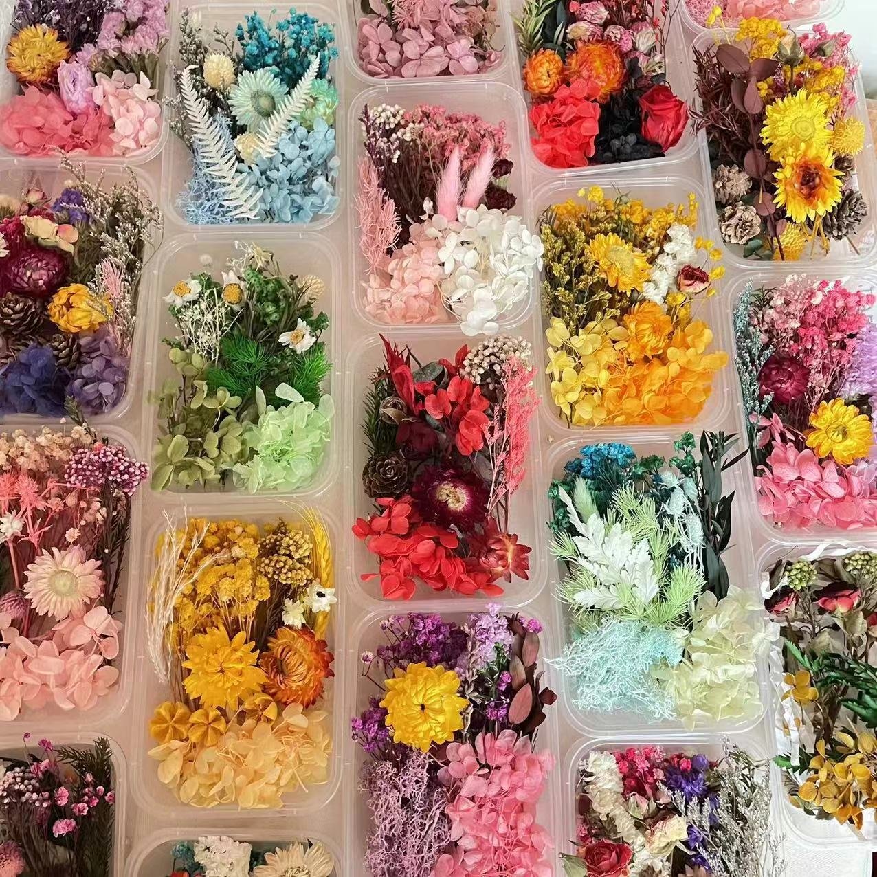 AX-035Wholesale Mini Mixed Dry Flowers Multicolor Natural Eucalyptus Bulk Dried Materials Small Package Deco