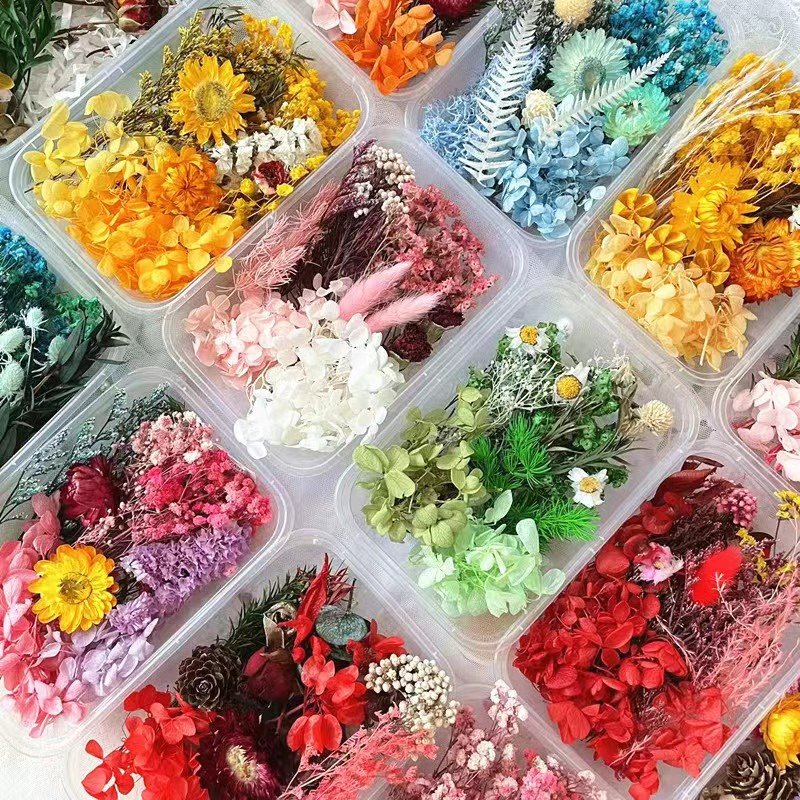 AX-035Wholesale Mini Mixed Dry Flowers Multicolor Natural Eucalyptus Bulk Dried Materials Small Package Deco