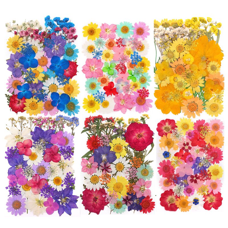 dry organic flowers decoration preserve flower packet dry flowers gift set