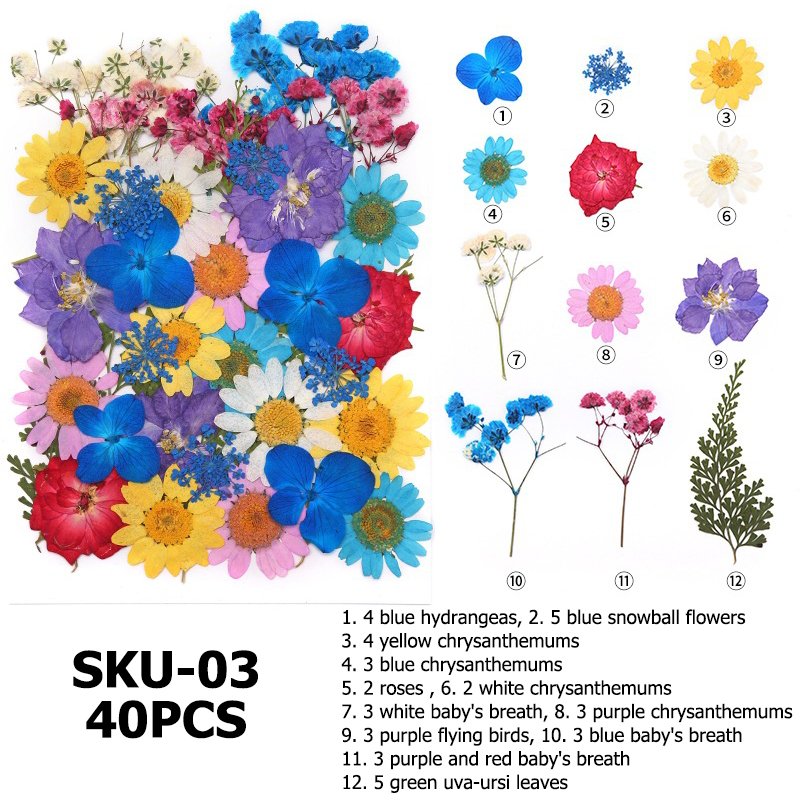 dry organic flowers decoration preserve flower packet dry flowers gift set