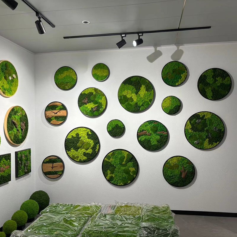 Hot sale high quality home office decoration natural reindeer moss leucobryum glaucum preserved pole moss frame