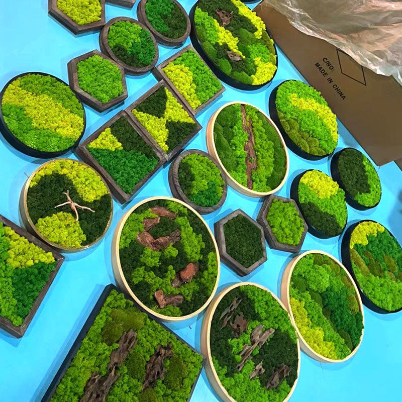 Hot sale high quality home office decoration natural reindeer moss leucobryum glaucum preserved pole moss frame