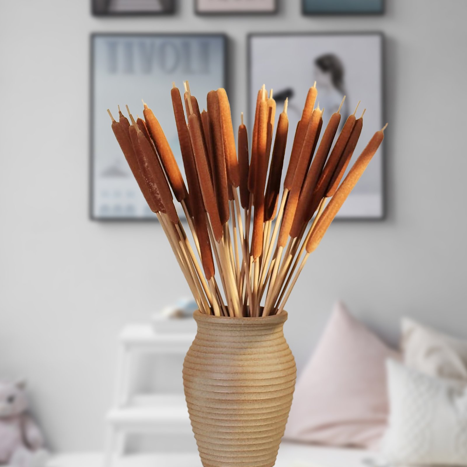 Hot-selling Real Broadleaf Pencil Cattail Stems Bundles Assorted Cattails for Modern Boho Decor Home Decorflower Arrangements